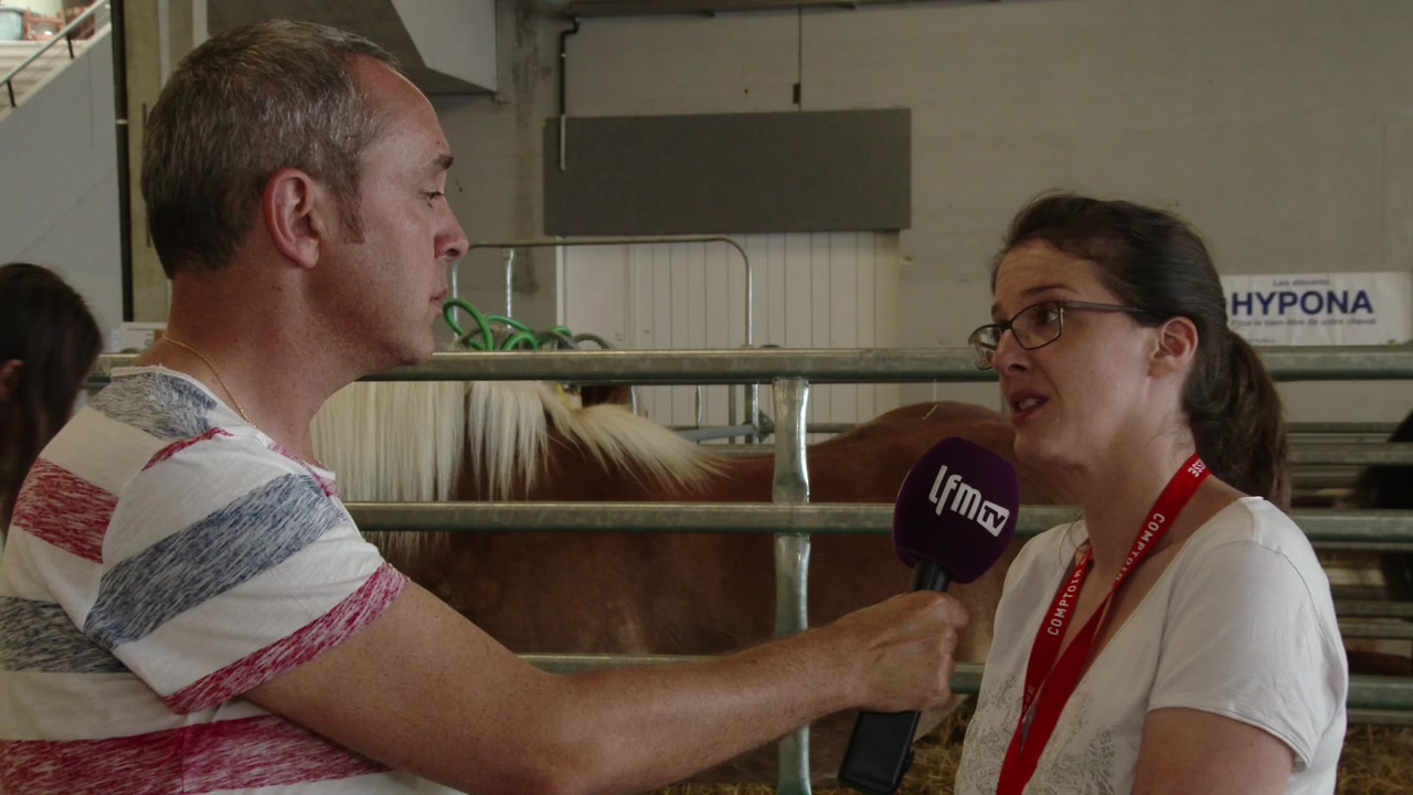 Comptoir Suisse 2016