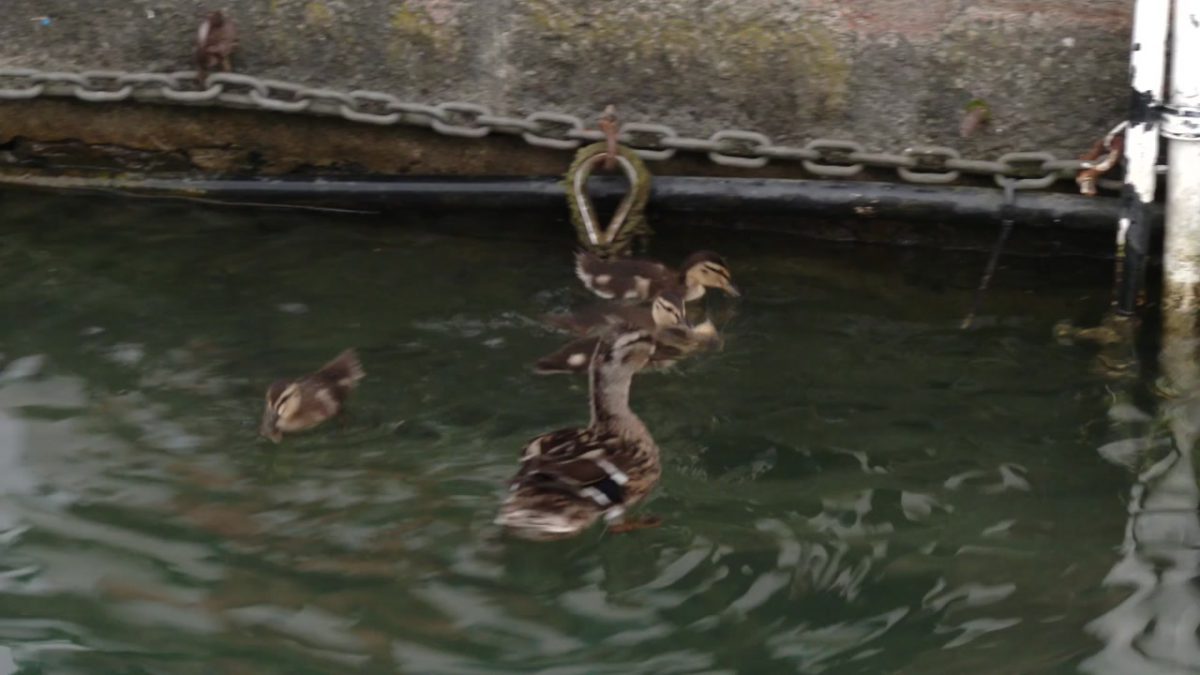 All Access, L&rsquo;equipe du matin ONE FM – La dernière de la Saison