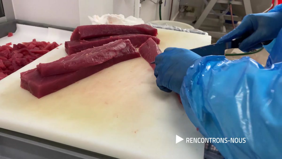 RENCONTRONS NOUS, LYNA BEN ROMDHANE