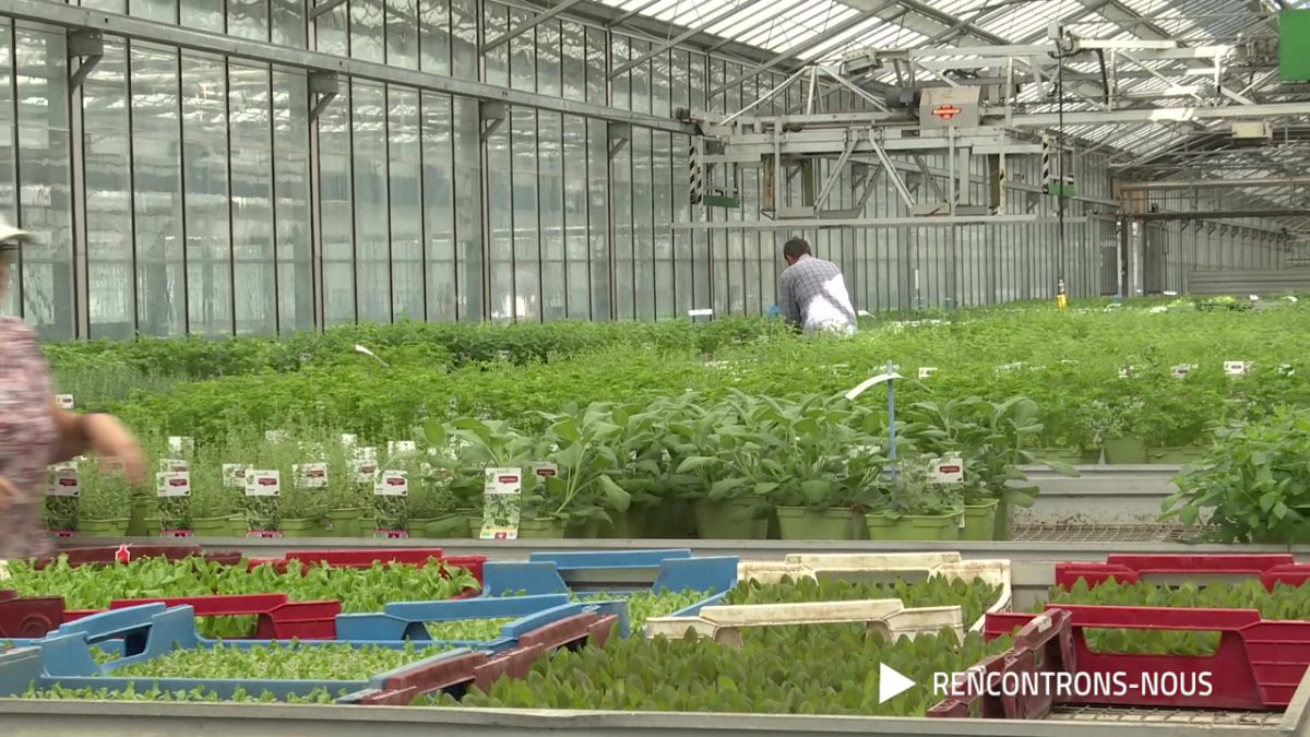 RENCONTRONS NOUS, BRUNO VERDONNET