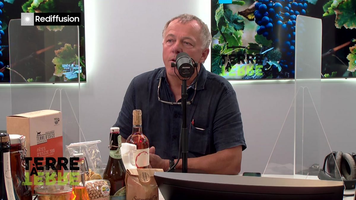 UMG, TERRE A TERRE n°13