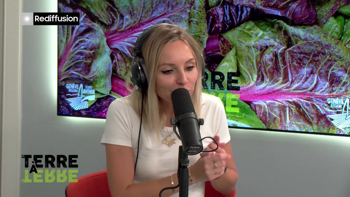 UMG, TERRE A TERRE n°14