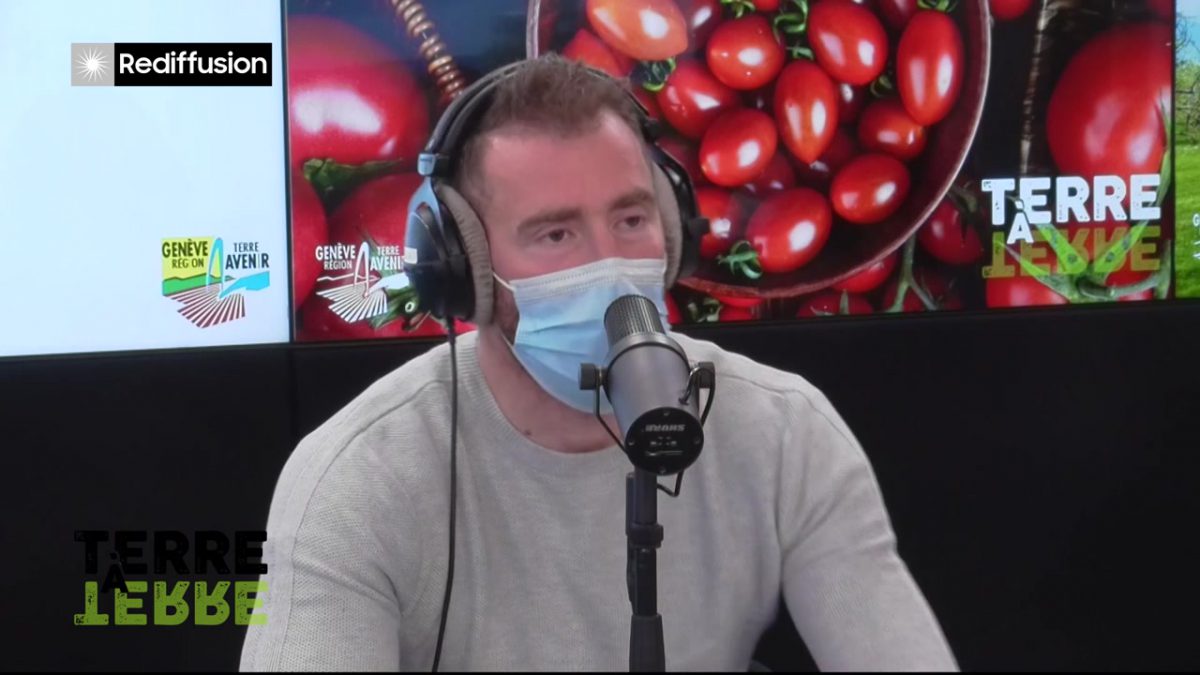 UMG, TERRE A TERRE n°1