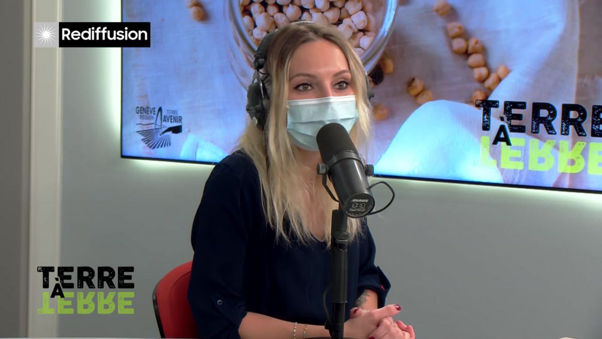 UMG, TERRE A TERRE n°6