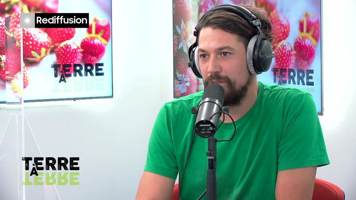 UMG, TERRE A TERRE n°10