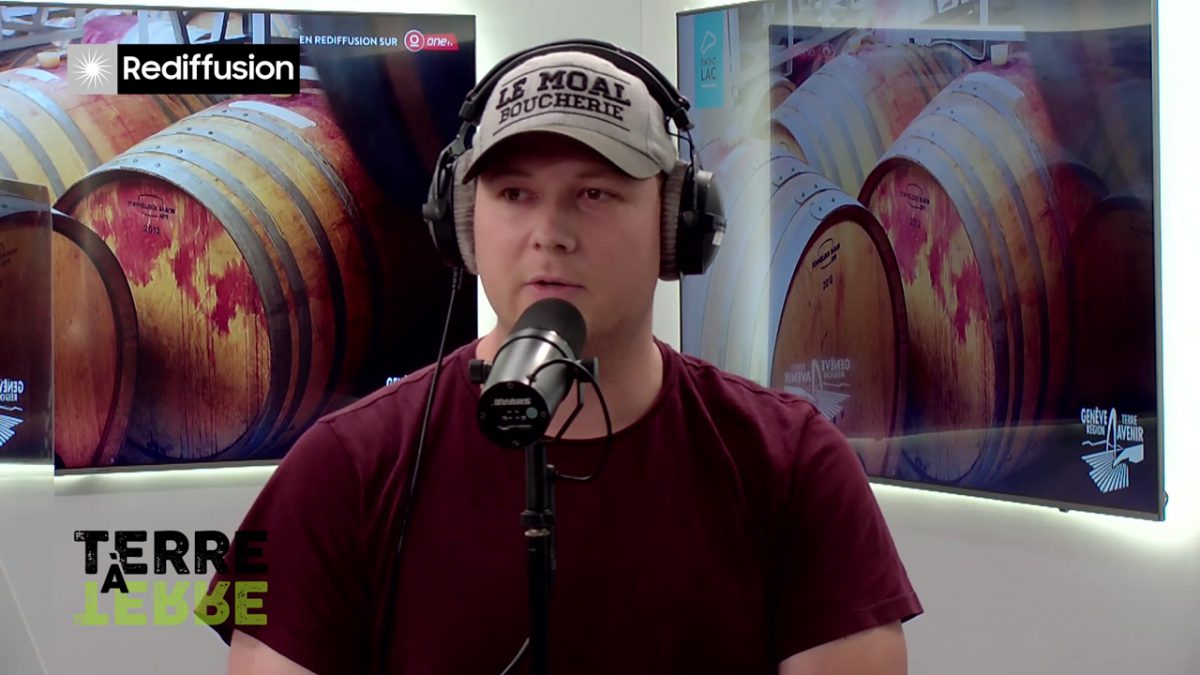 UMG, TERRE A TERRE n°11