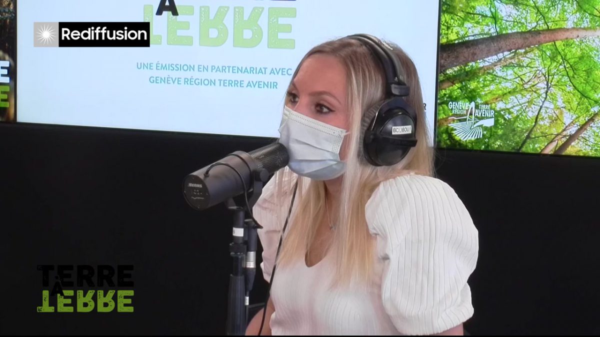 UMG, TERRE A TERRE n°2