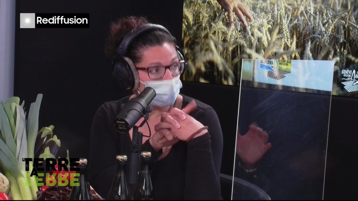 UMG, TERRE A TERRE n°3