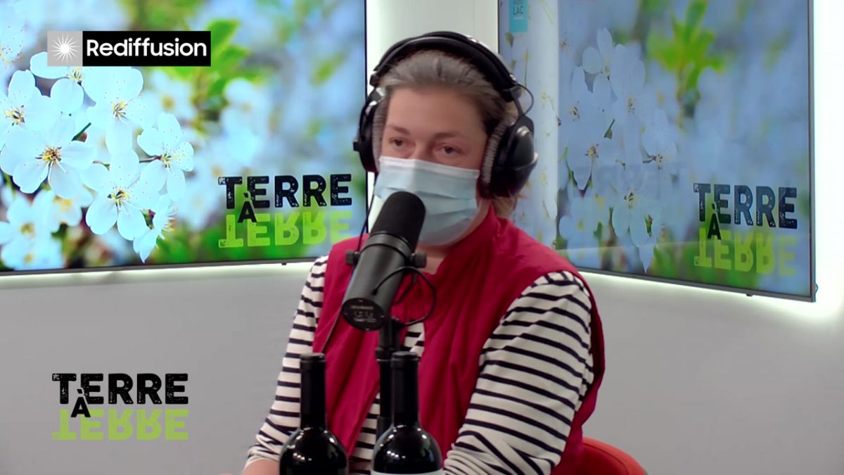 UMG, TERRE A TERRE n°4