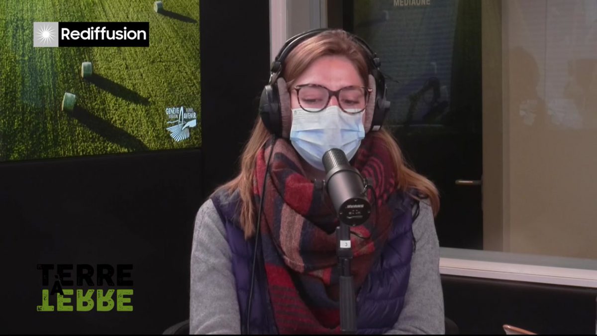 UMG, TERRE A TERRE n°5