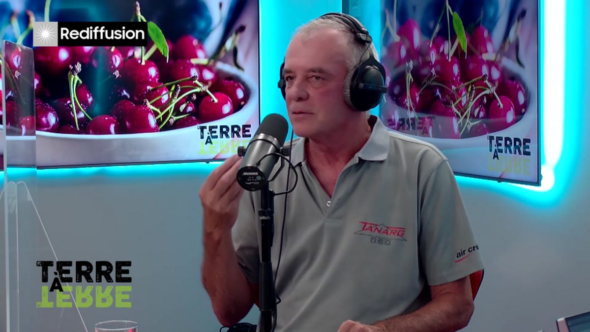 UMG, TERRE A TERRE n°9