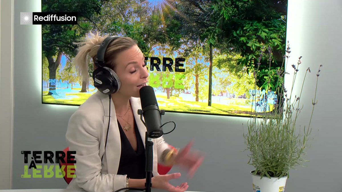 UMG, TERRE A TERRE n°16