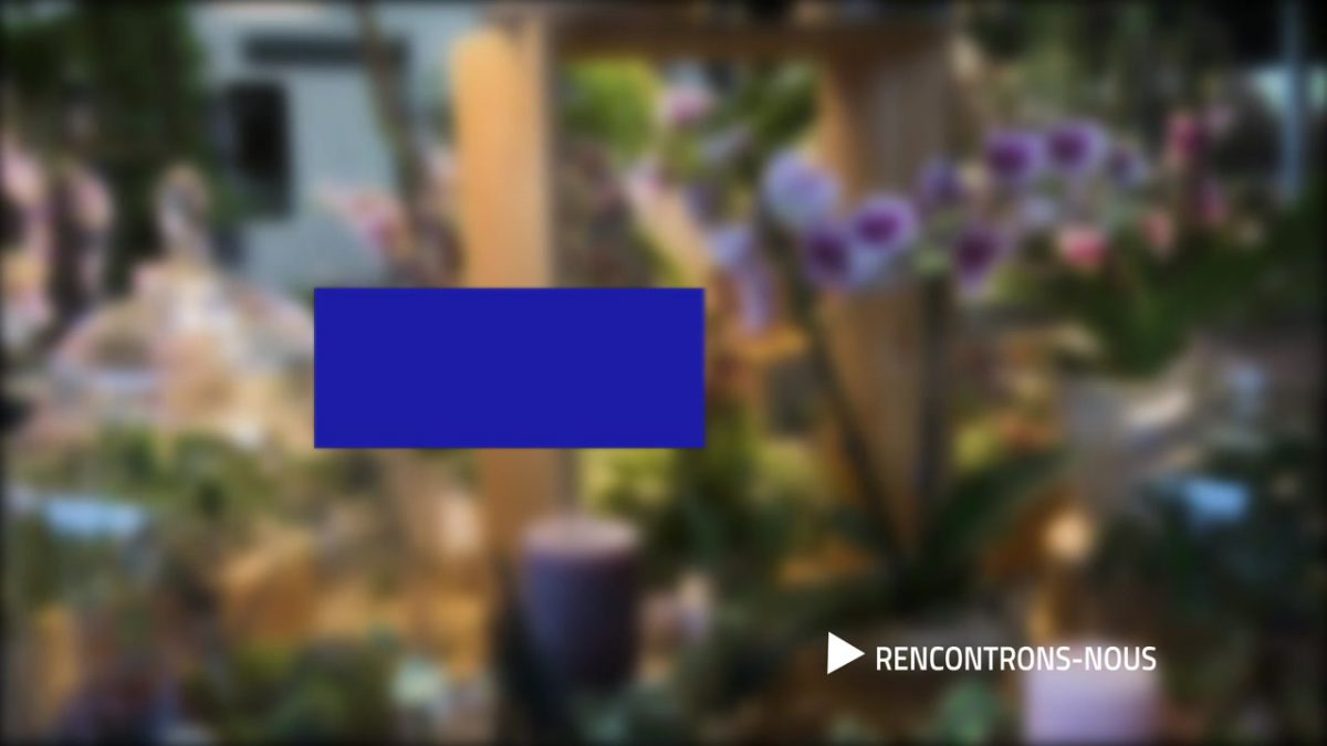 RENCONTRONS NOUS, GUILLAUME DE BRISOULT