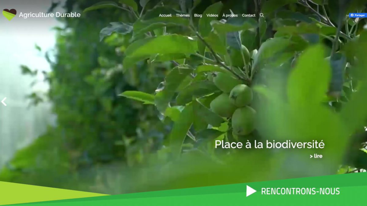 RENCONTRONS NOUS, VICTORIA CHIRICHIELLO