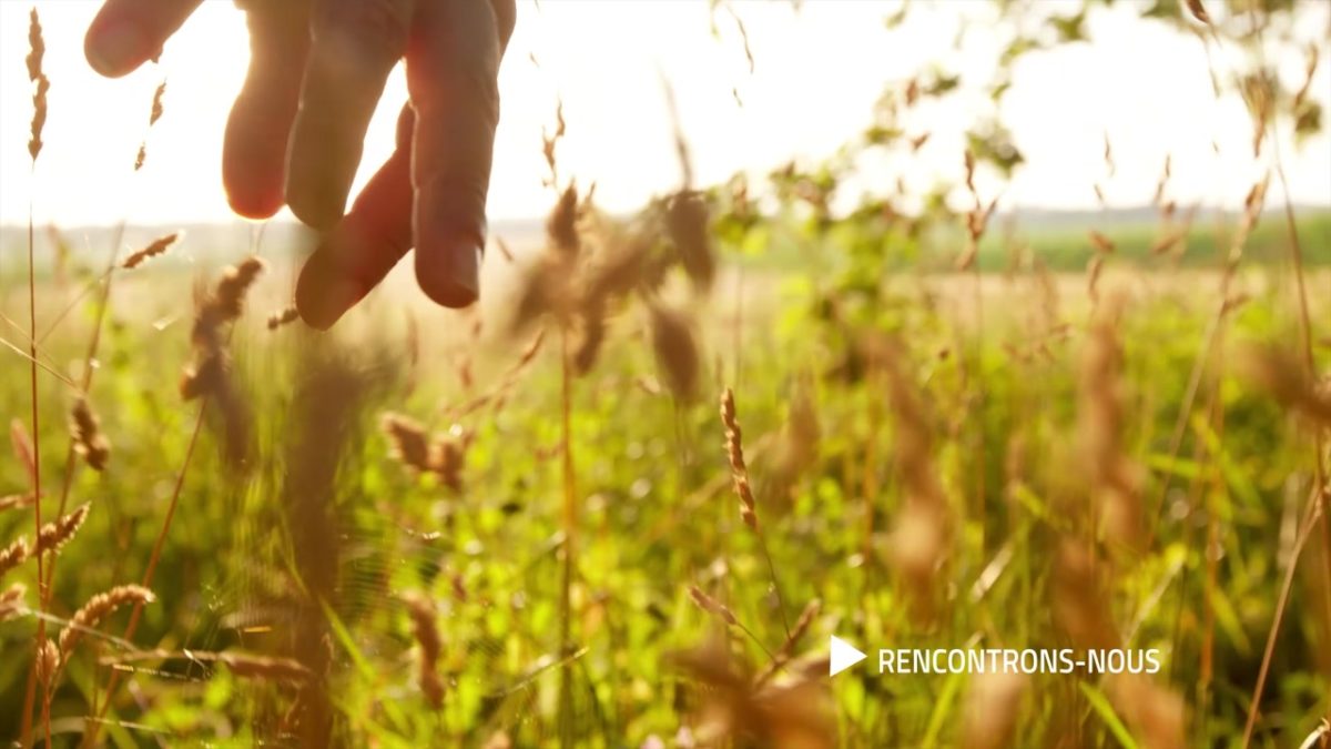 RENCONTRONS-NOUS, Joey Thevenaz