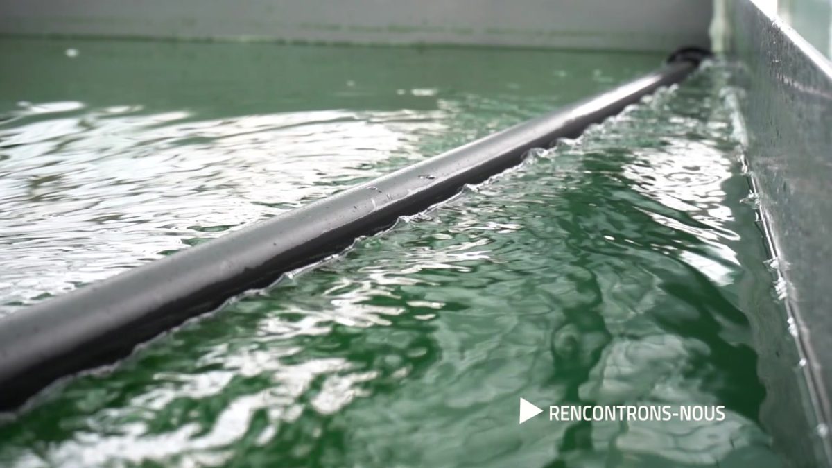 RENCONTRONS NOUS, Stéphane Sasvari